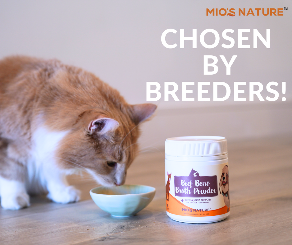 Beef Bone Broth Powder 120g