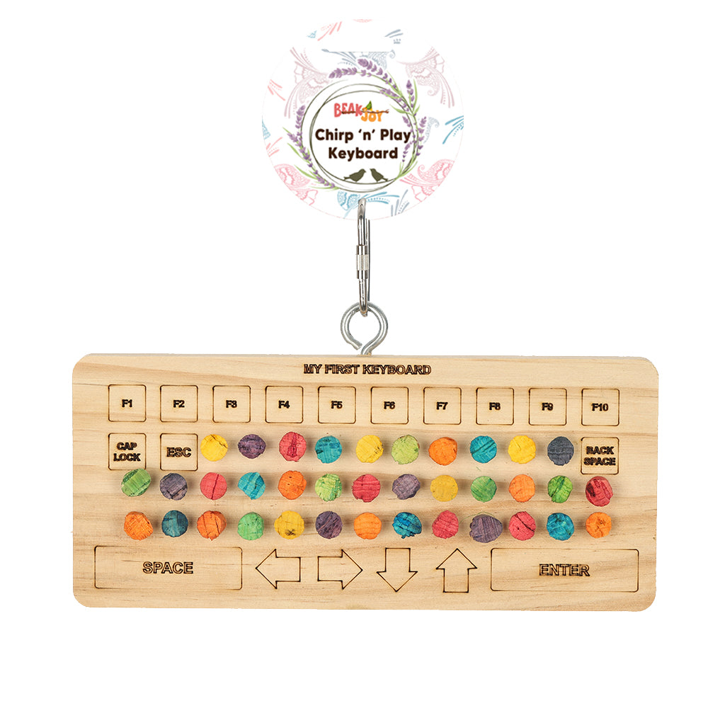 Chirp 'n' Play Keyboard