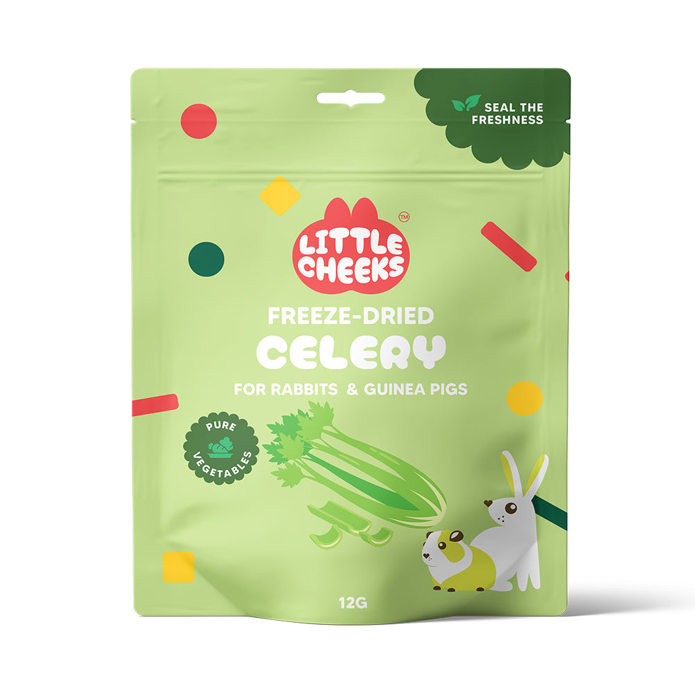Freeze Dried Celery for Small Animals