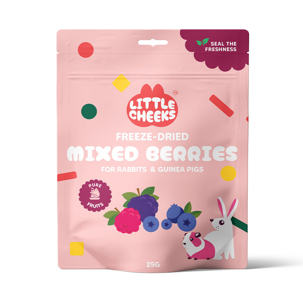 Freeze Dried Mixed Berries for Small Animals