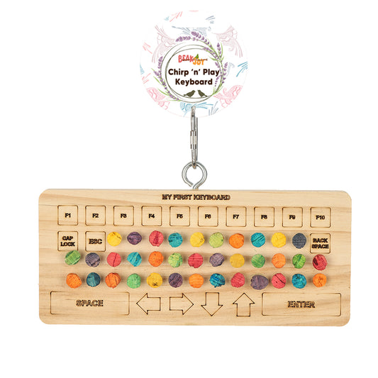 Chirp 'n' Play Keyboard